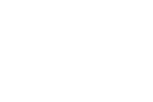 Sood Center Logo for Loading Image